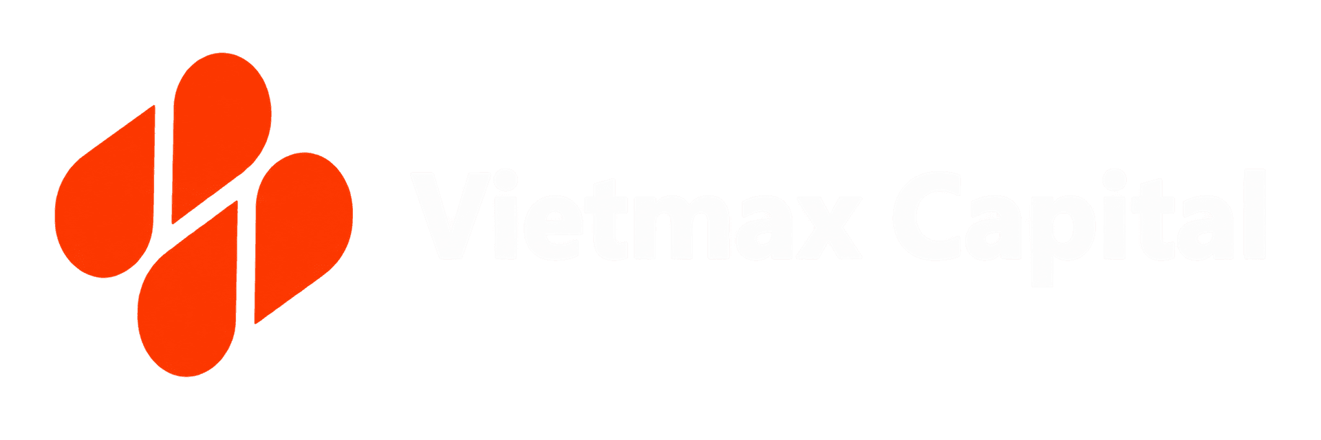 Logo VIETMAX CAPITAL